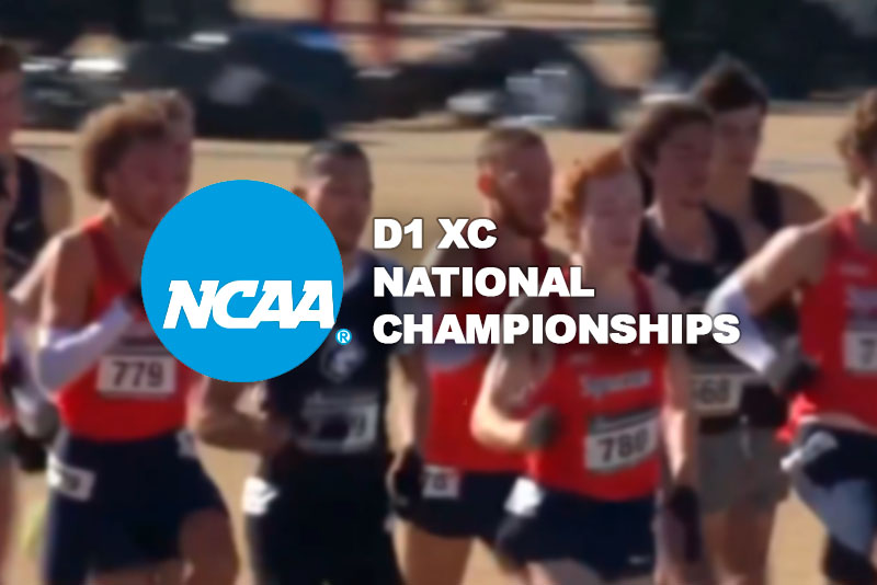 Branding logo for the NCAA D1 cross country national championships